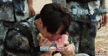 吃瓜群众变吃狗粮,见证娱乐圈甜蜜转变