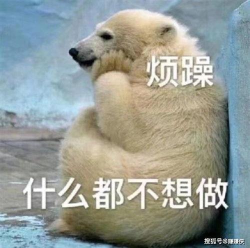 憨厚的吃瓜群众图片高清,高清图中的纯真瞬间