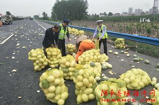 恩平网红吃瓜群众事件,揭秘网络舆论的风暴与真相