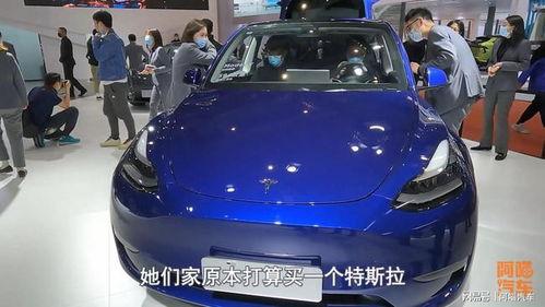 特斯拉吃瓜群众,吃瓜群众眼中的科技巨头风云录