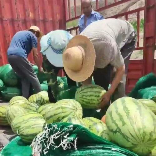 怎么邀请群众吃瓜,如何巧妙邀请群众共享欢乐时光