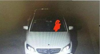 奔驰车主吃瓜群众,奔驰车主成吃瓜群众焦点