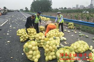 威海吃瓜群众,揭秘当地美食文化趣闻
