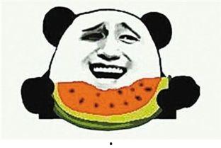 吃瓜群众疯狂版,揭秘疯狂版背后的疯狂故事