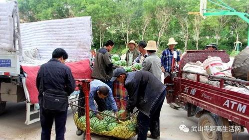 宜城吃瓜群众新闻,吃瓜群众聚焦最新新闻事件