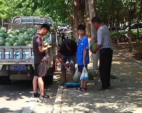 槐荫区吃瓜群众案件,揭秘网络谣言背后的真相