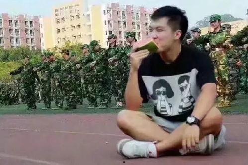 吃瓜群众的恢复训练,重拾娱乐视角，共赏百态人生