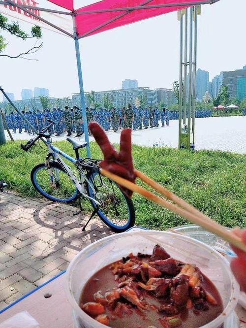 吃瓜群众的恢复训练,重拾娱乐视角,共赏百态人生