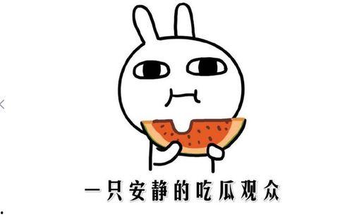 吃瓜群众由来简介内容,揭秘网络围观文化的兴起