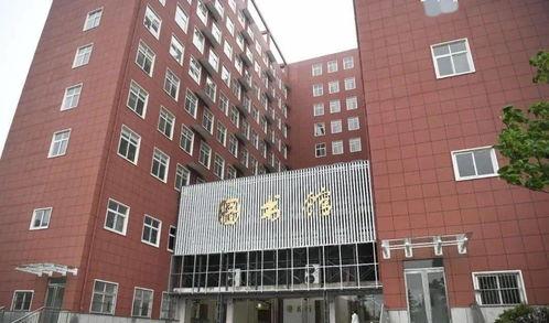 天津职业大学吃瓜群众,吃瓜群众视角下的校园风云录
