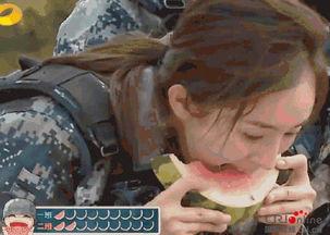 狗狗秒变吃瓜群众,萌态百出引网友热议