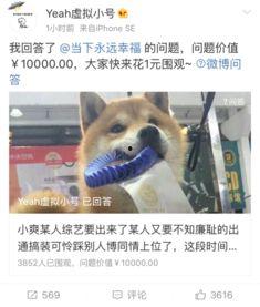 元梦之星头上吃瓜群众,瓜田里的璀璨明星