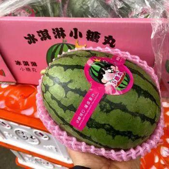 元梦之星头上吃瓜群众,瓜田里的璀璨明星