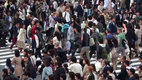 中国未来的new money 吃瓜群众,中国“new money”时代的吃瓜群众众生相