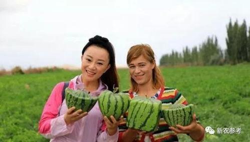 世界上最温柔的吃瓜群众,洞察人间烟火