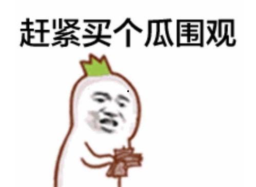 中国加油吃瓜群众视频,吃瓜群众视角下的社会百态