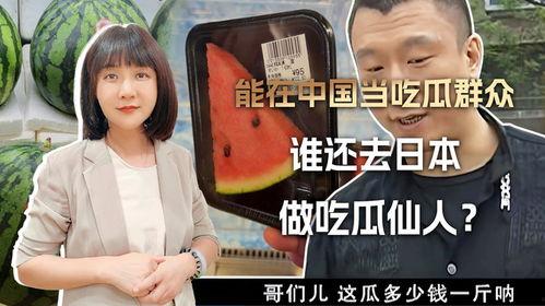 吃瓜群众 技能好用吗,实用效果评测