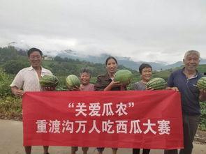 广东吃瓜群众消息最新,揭秘网红事件背后的真相!”