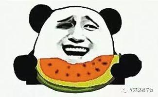 吃瓜群众妮蔻,揭秘娱乐圈背后的故事