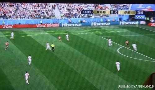 体育界吃瓜群众,吃瓜群众视角下的精彩瞬间