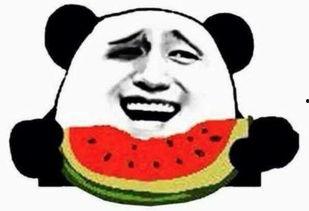 好耶耶吃瓜群众视频大全,揭秘热门视频背后的趣味故事