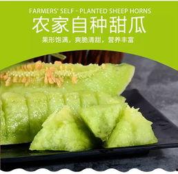 如何做一名吃瓜群众,轻松成为吃瓜群众的实用指南