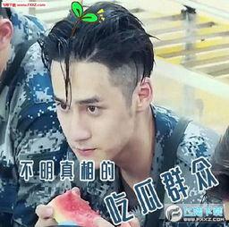 吃瓜群众完整视频大全下载,一网打尽，尽享娱乐盛宴